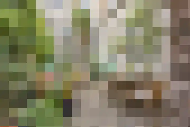 Maasstraat 11 Grave thumbnail 4