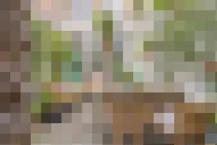 Maasstraat 11 Grave thumbnail 40