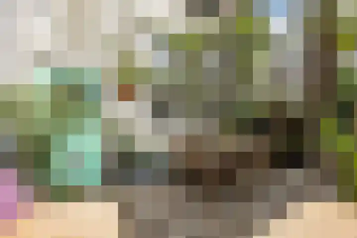 Maasstraat 11 Grave thumbnail 41