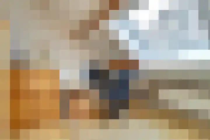 Maasstraat 11 Herten thumbnail 22