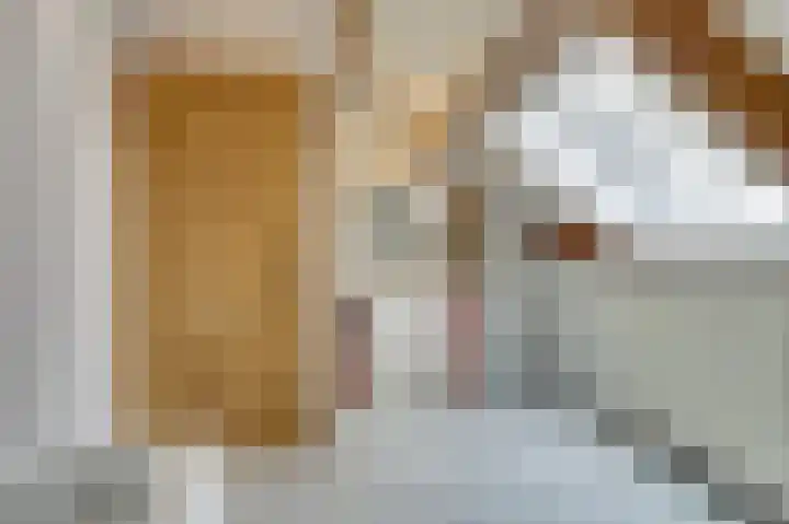 Maasstraat 11 Herten thumbnail 25