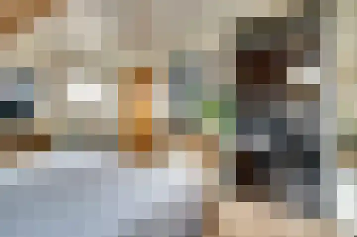 Maasstraat 11 Herten thumbnail 36