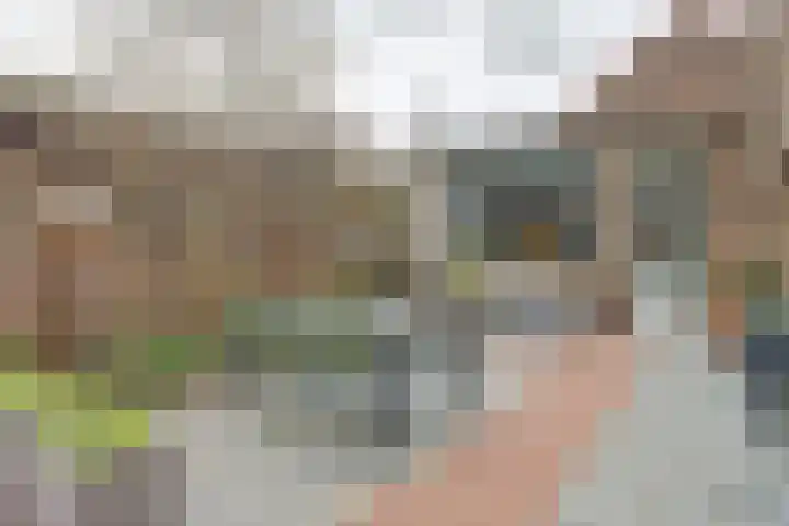 Maasstraat 11 Herten thumbnail 43