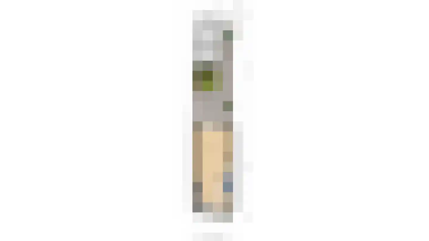 Maasstraat 12 Alblasserdam thumbnail 29