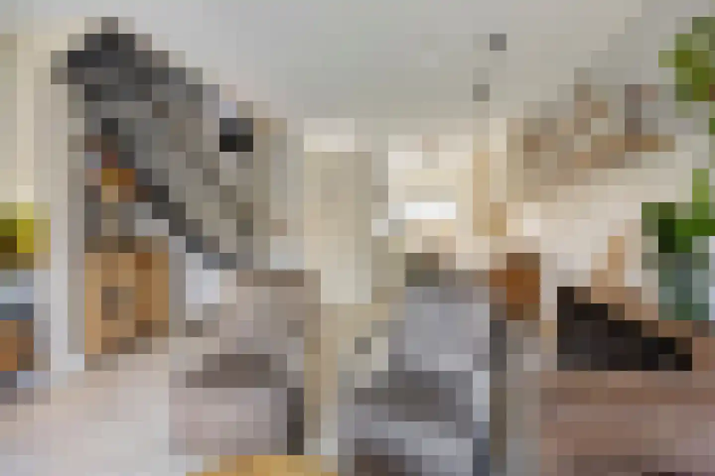 Maasstraat 12 Alblasserdam thumbnail 9
