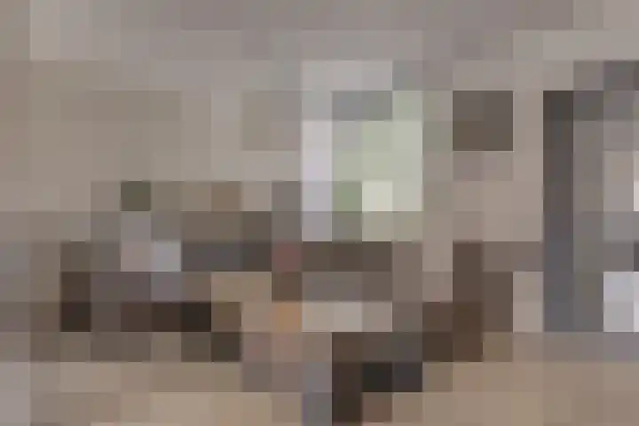 Maasstraat 12 Rozenburg thumbnail 10