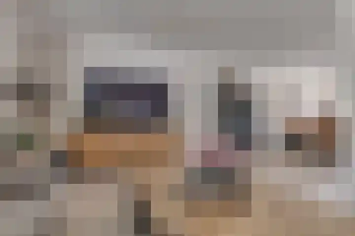 Maasstraat 12 Rozenburg thumbnail 11