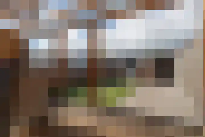 Maasstraat 12 Rozenburg thumbnail 40