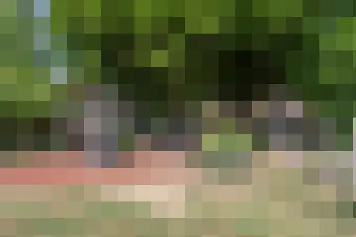 Maasstraat 12 Rozenburg thumbnail 42