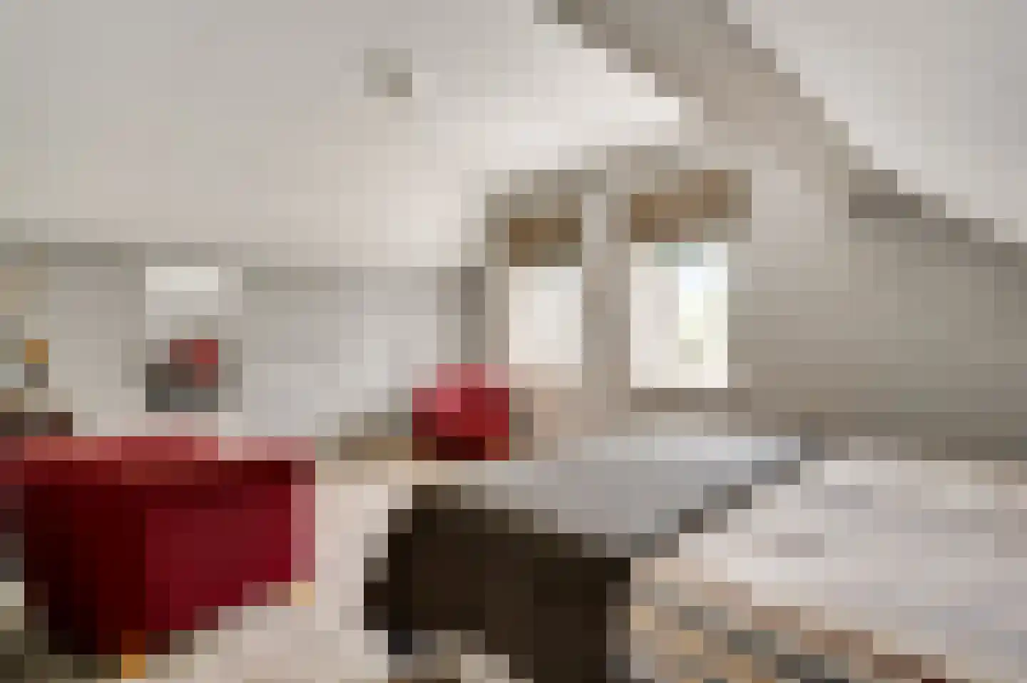 Maasstraat 13 Herten thumbnail 24