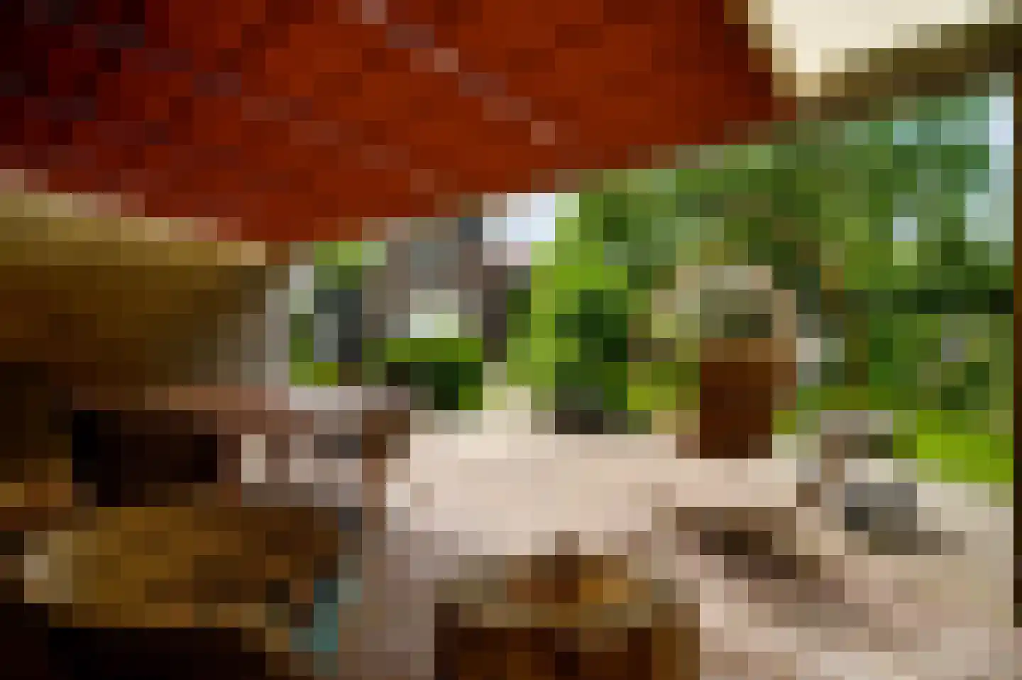 Maasstraat 13 Herten thumbnail 31