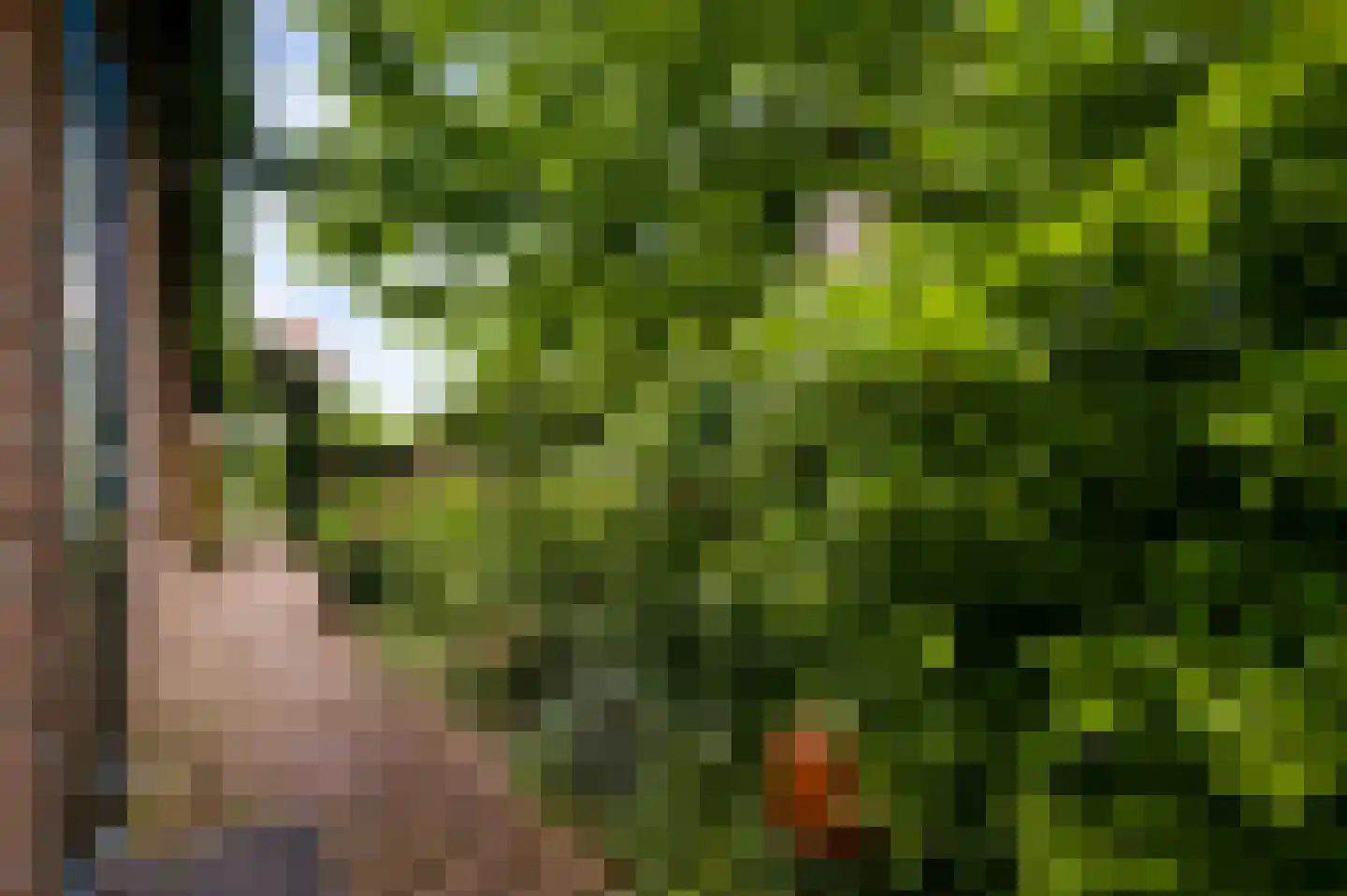 Maasstraat 13 Herten thumbnail 32