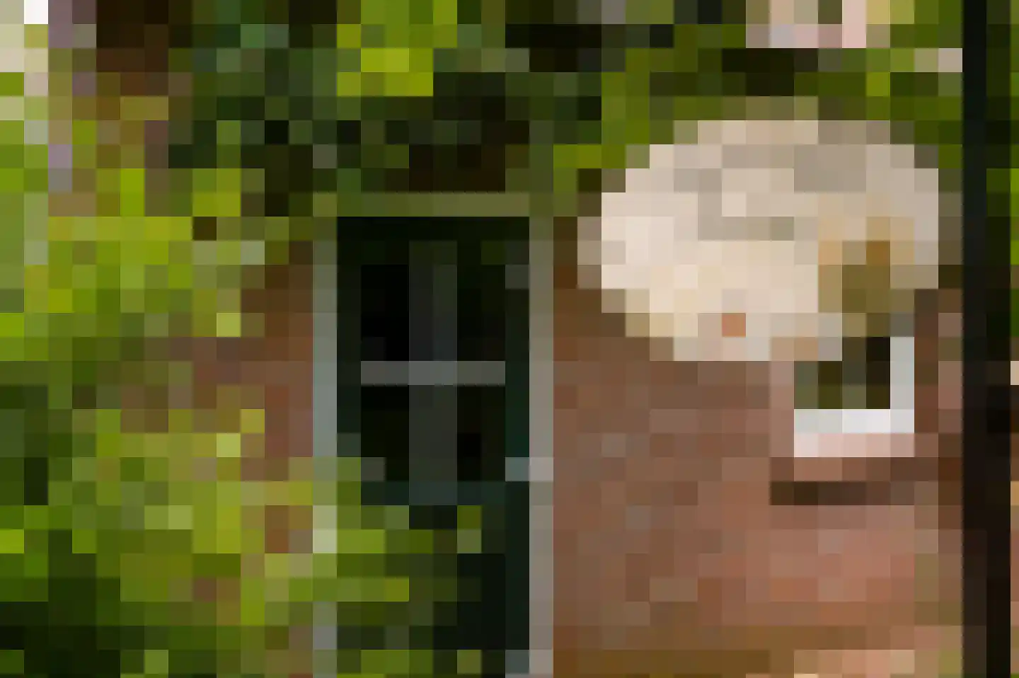 Maasstraat 13 Herten thumbnail 33