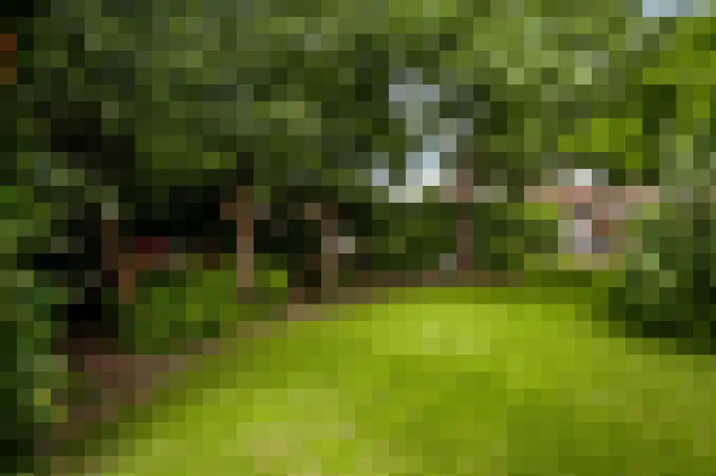 Maasstraat 13 Herten thumbnail 35