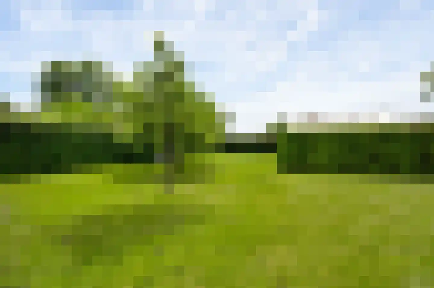 Maasstraat 13 Herten thumbnail 37