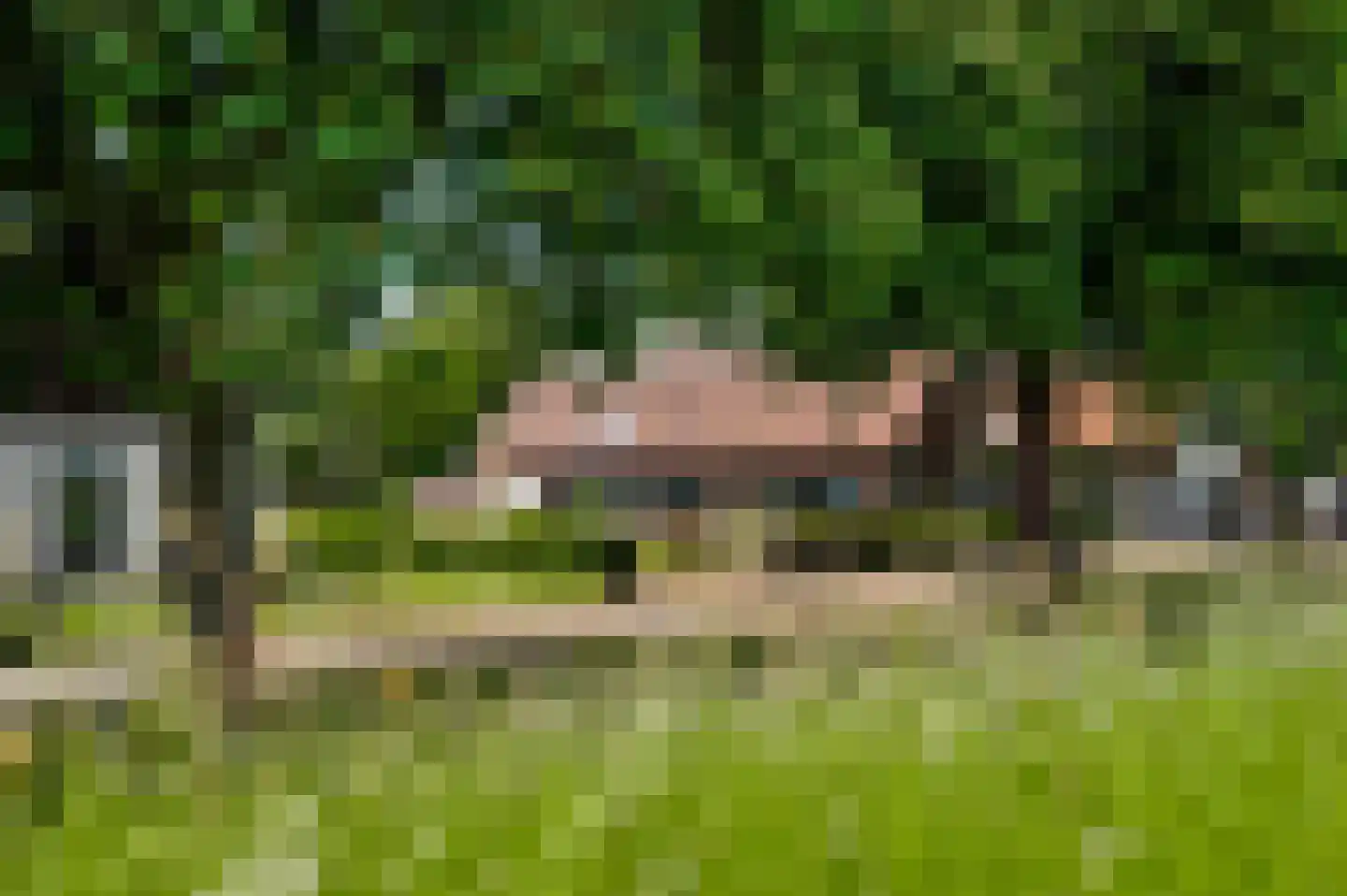 Maasstraat 13 Herten thumbnail 4