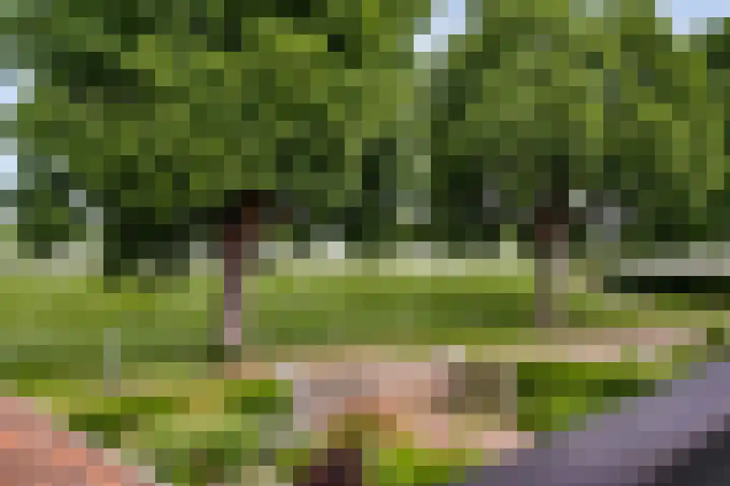 Maasstraat 13 Herten thumbnail 43