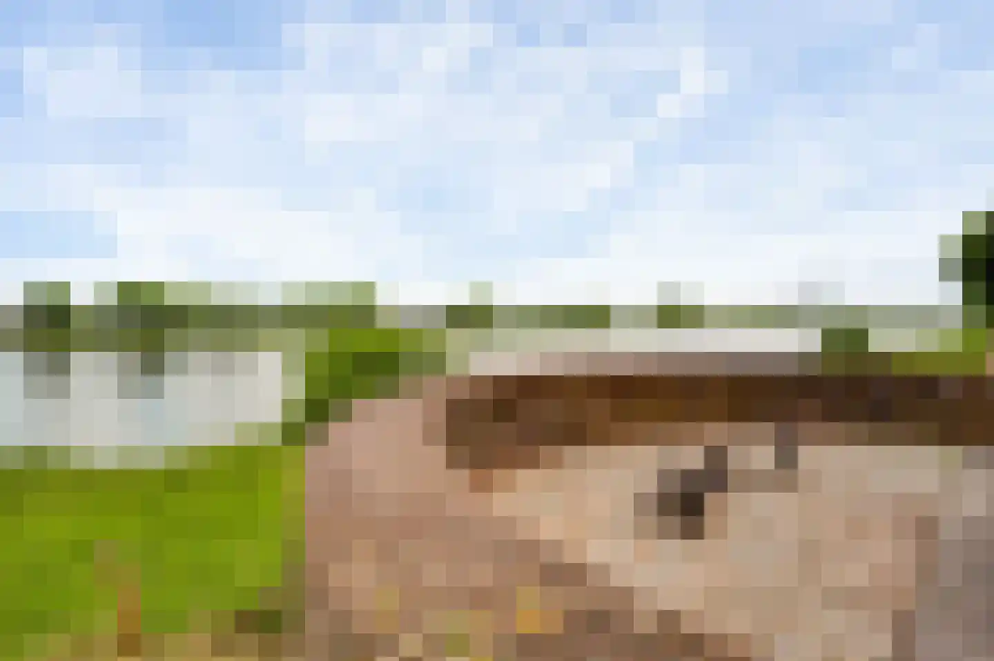 Maasstraat 13 Herten thumbnail 44
