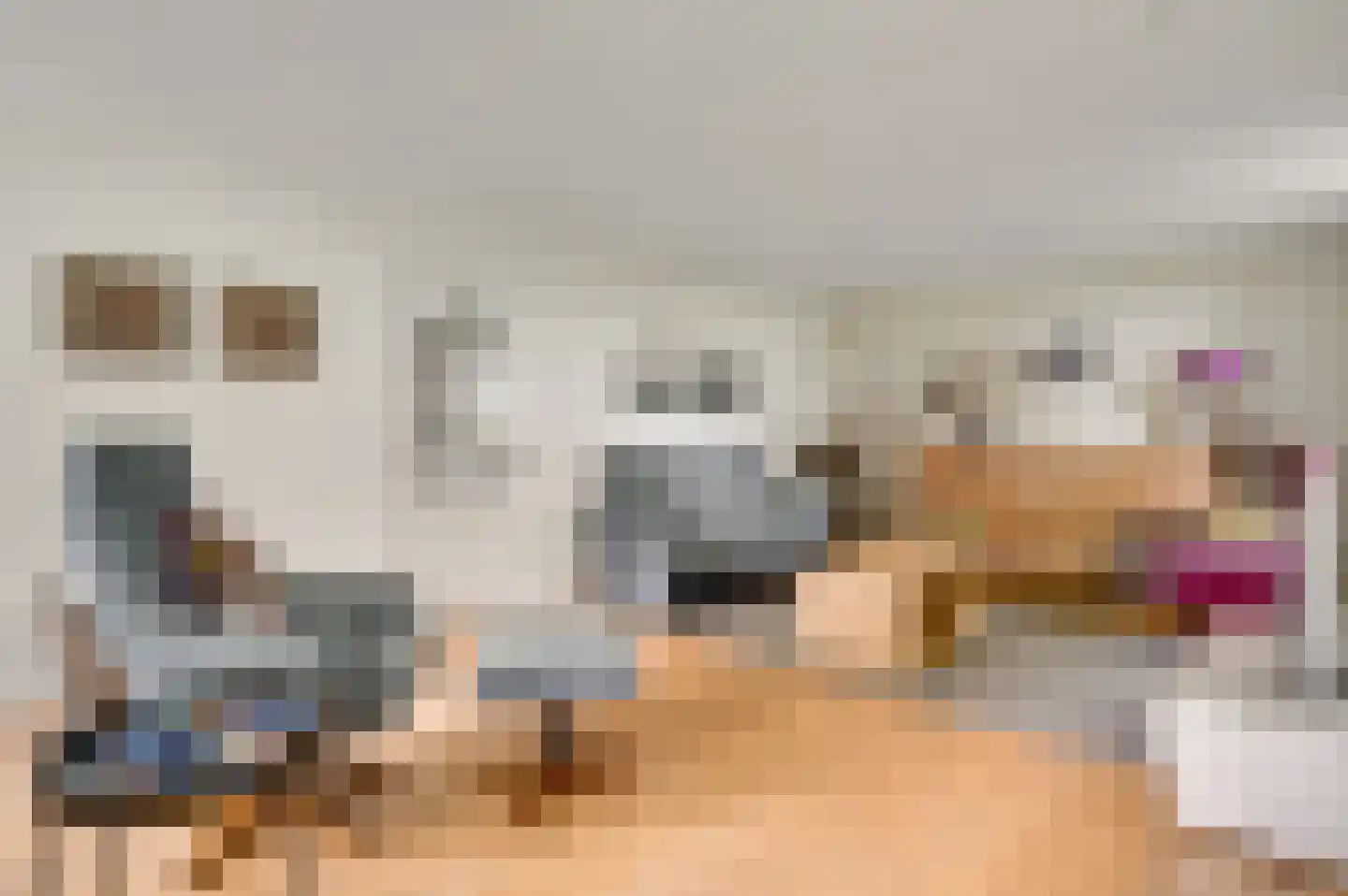 Maasstraat 13 Herten thumbnail 8
