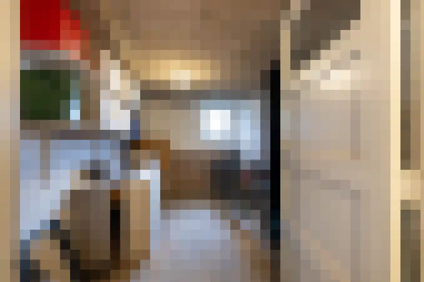 Maasstraat 140 Almelo thumbnail 22