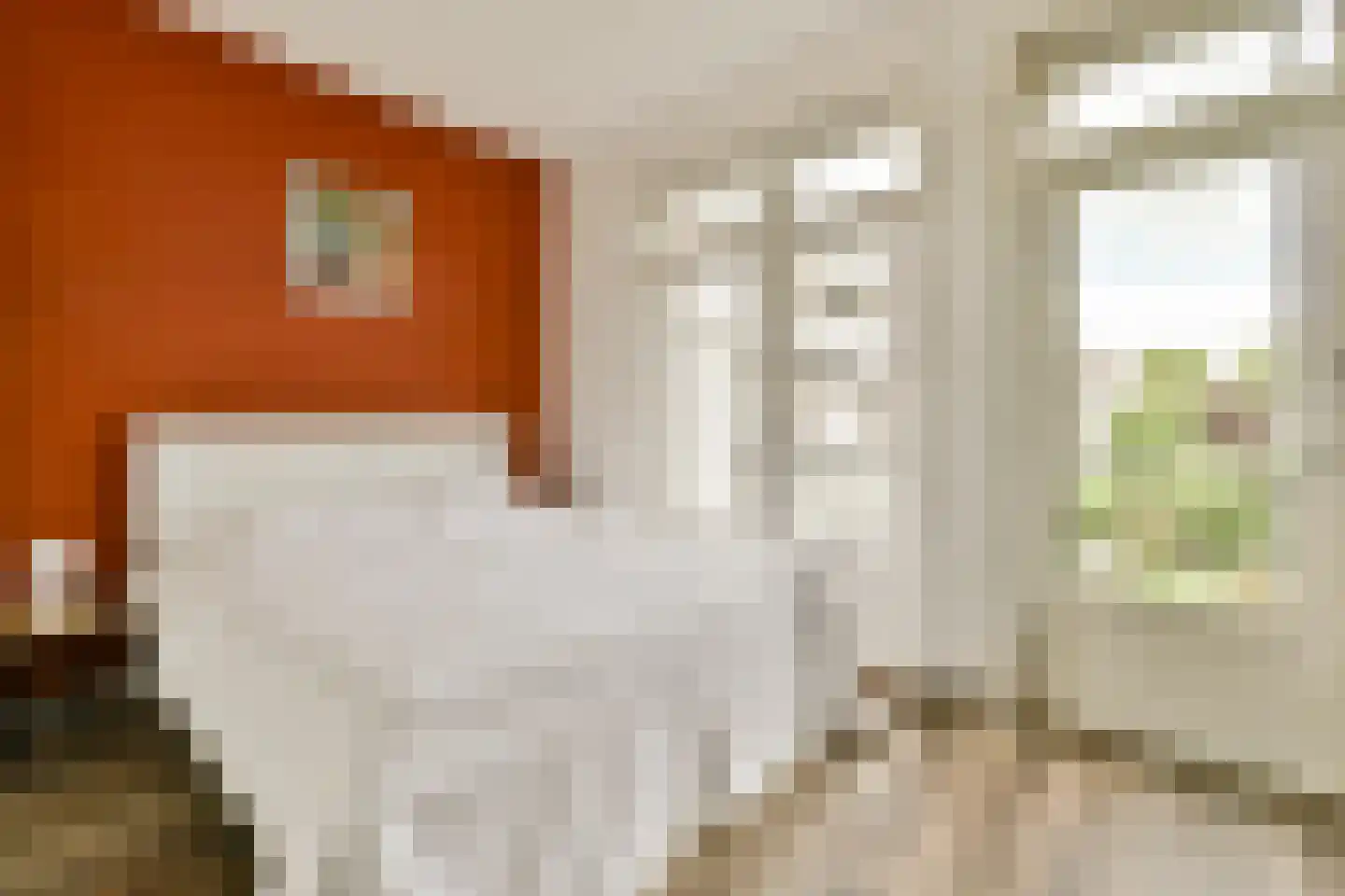 Maasstraat 141 2 Amsterdam thumbnail 10