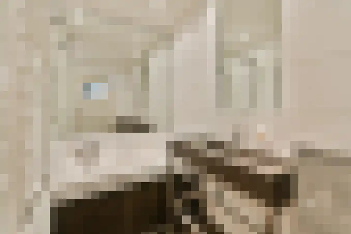 Maasstraat 141 2 Amsterdam thumbnail 12