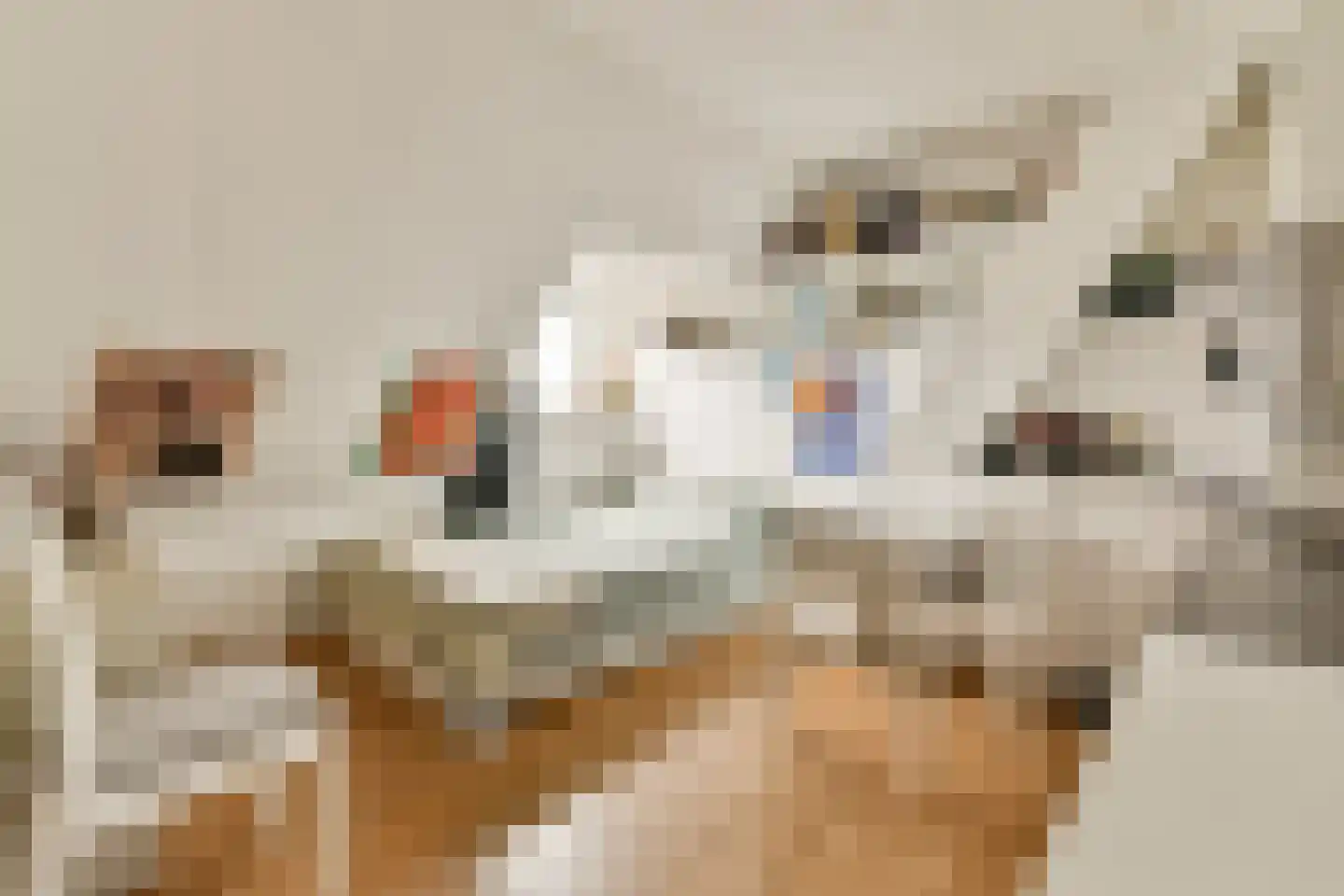 Maasstraat 141 2 Amsterdam thumbnail 17
