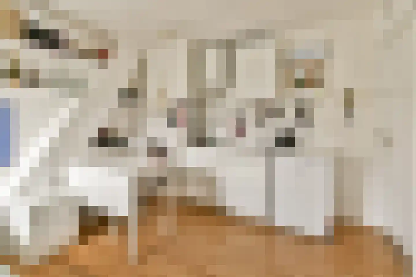 Maasstraat 141 2 Amsterdam thumbnail 18