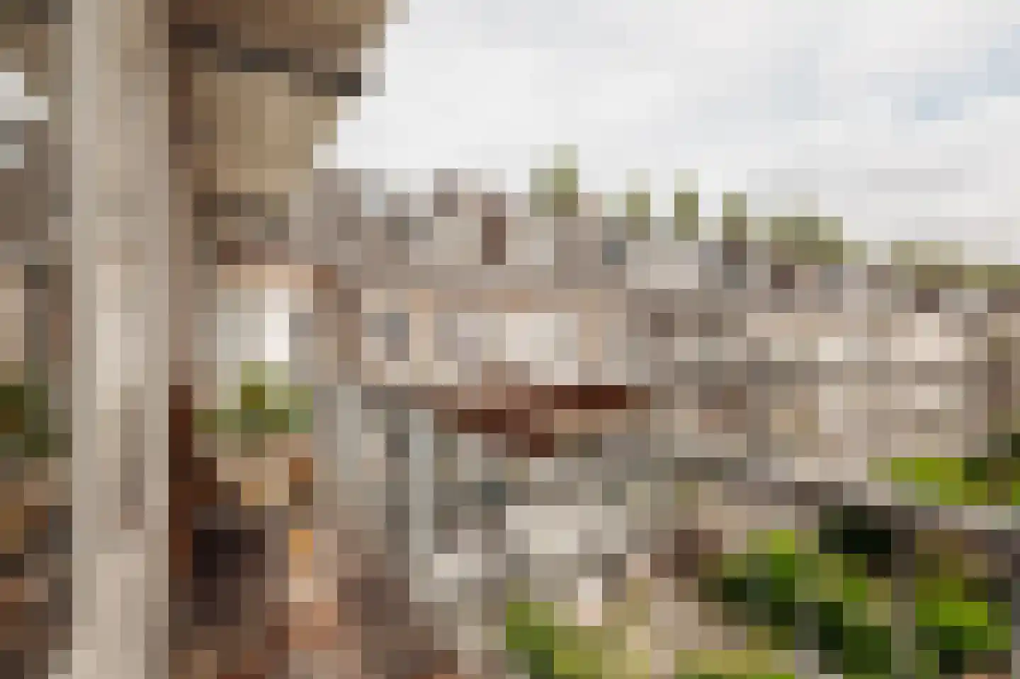 Maasstraat 141 2 Amsterdam thumbnail 26
