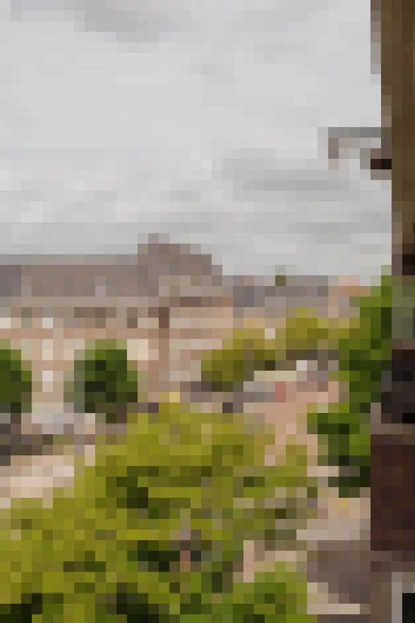 Maasstraat 141 2 Amsterdam thumbnail 6