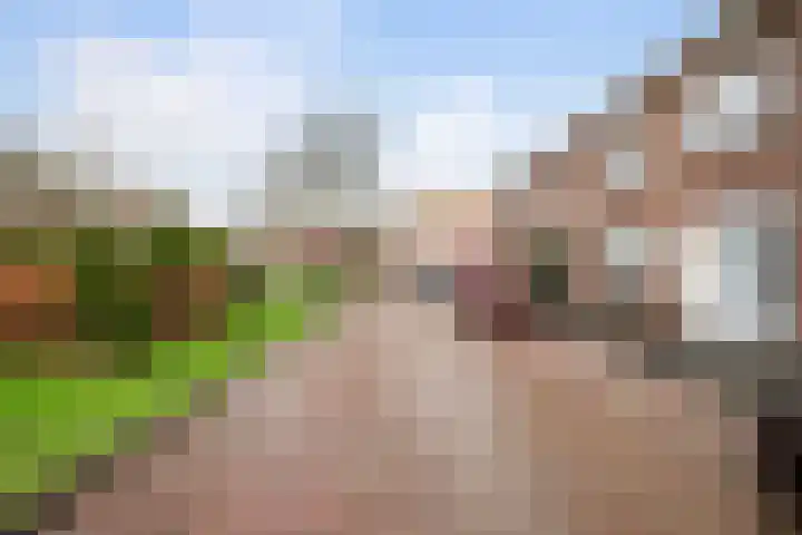 Maasstraat 15 Haarlem thumbnail 33
