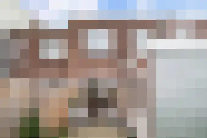 Maasstraat 15 Haarlem thumbnail 4