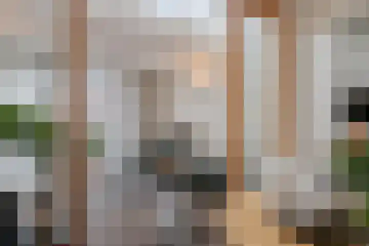 Maasstraat 15 Veghel thumbnail 12