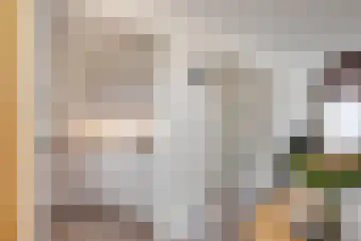 Maasstraat 15 Veghel thumbnail 18
