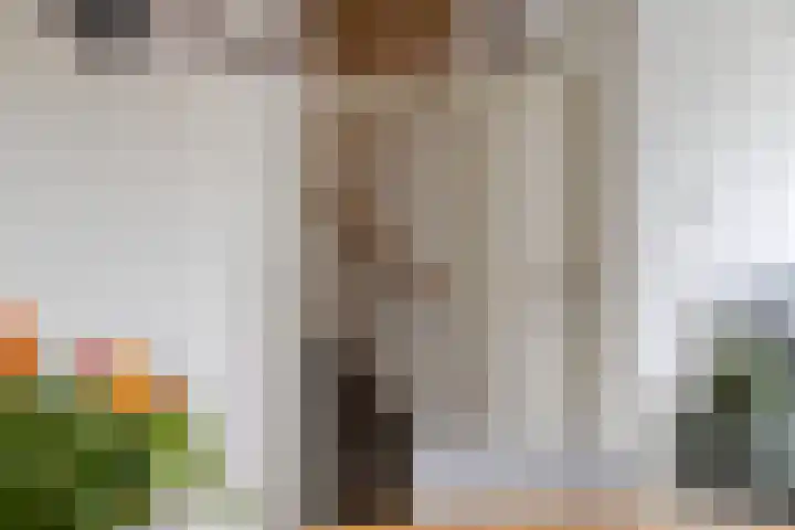 Maasstraat 15 Veghel thumbnail 25