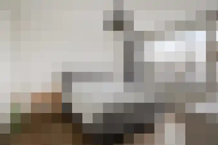 Maasstraat 15 Veghel thumbnail 29