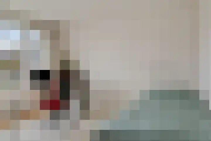 Maasstraat 15 Veghel thumbnail 31