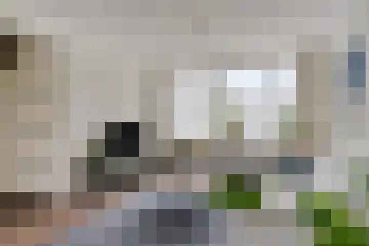 Maasstraat 15 Veghel thumbnail 6