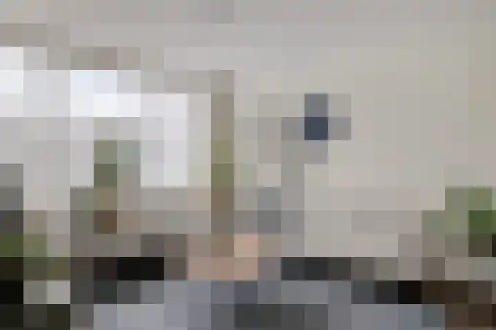 Maasstraat 15 Veghel thumbnail 7