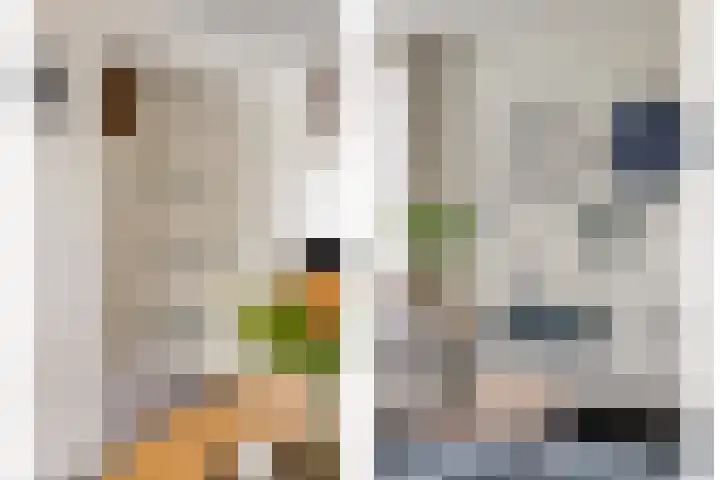 Maasstraat 15 Veghel thumbnail 8