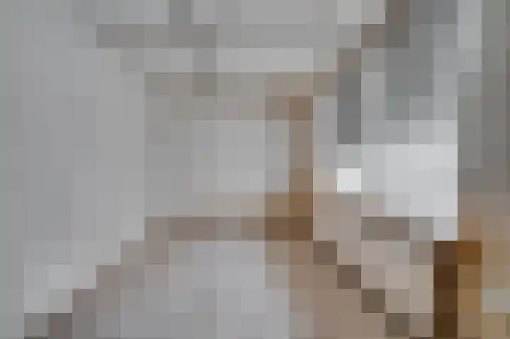 Maasstraat 16 Arcen thumbnail 7