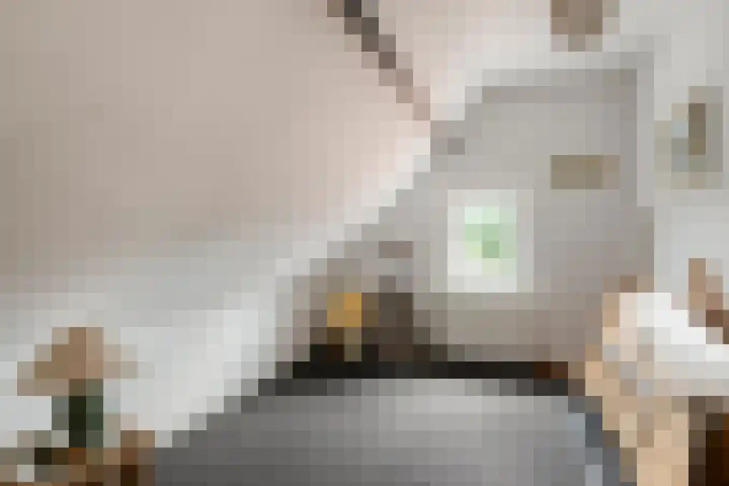Maasstraat 16 Gennep thumbnail 33
