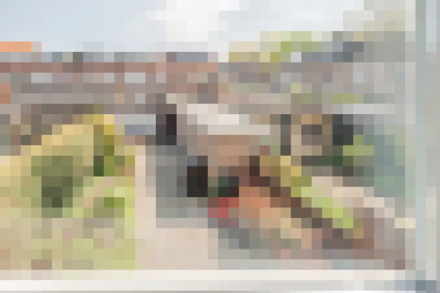 Maasstraat 16 Nieuwegein thumbnail 19