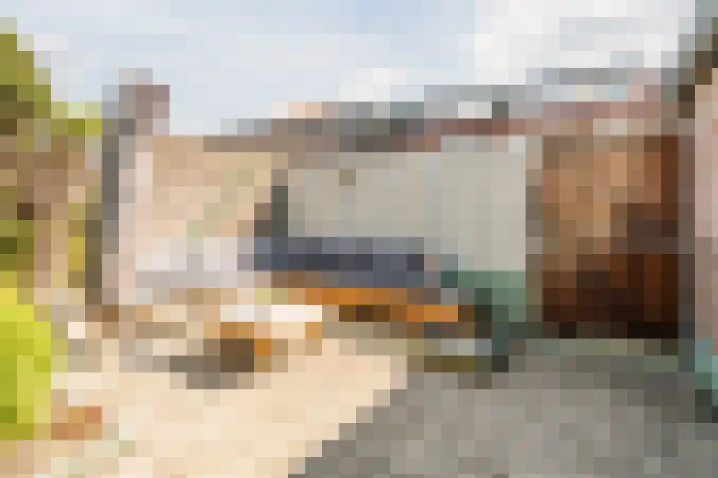 Maasstraat 16 Nieuwegein thumbnail 34