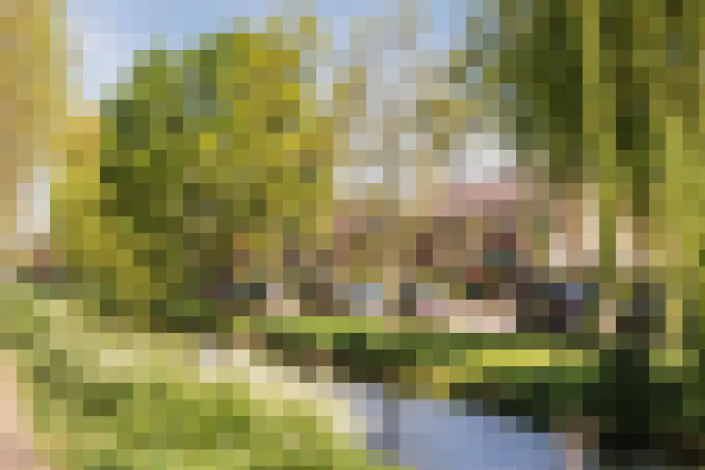 Maasstraat 16 Nieuwegein thumbnail 39