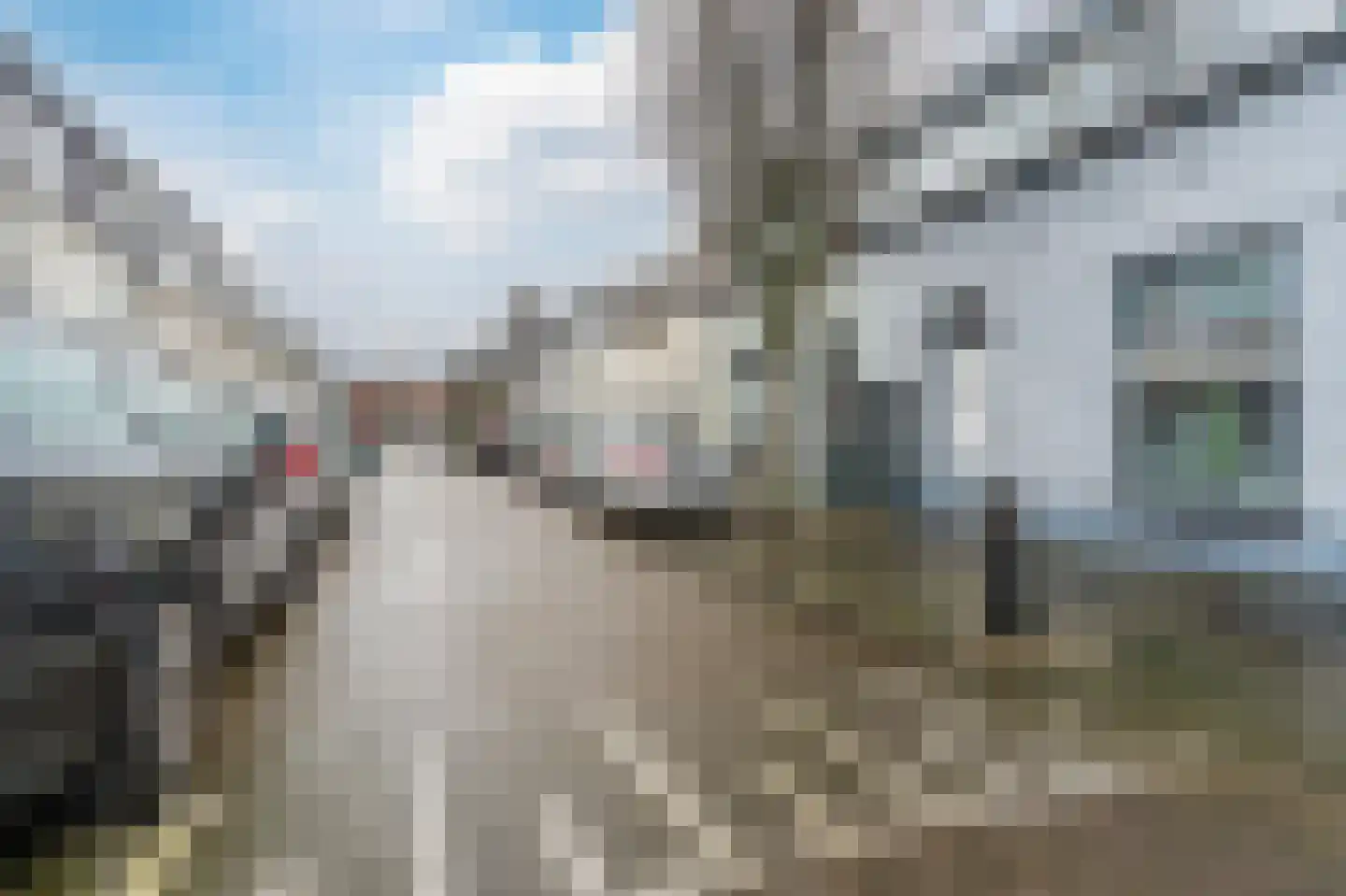 Maasstraat 17 Schiedam thumbnail 23