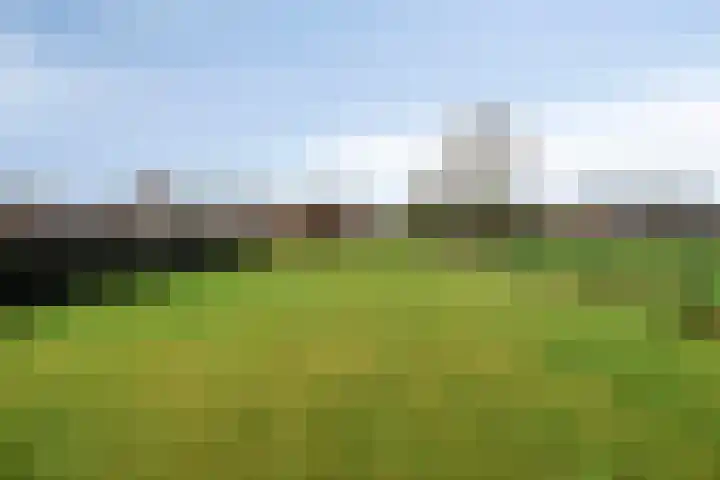 Maasstraat 18 Kessel thumbnail 38