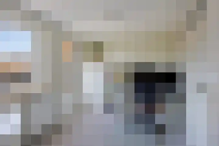 Maasstraat 18 Zaltbommel thumbnail 33