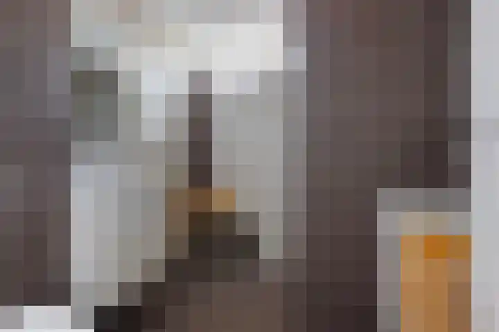 Maasstraat 19 Rozenburg thumbnail 29