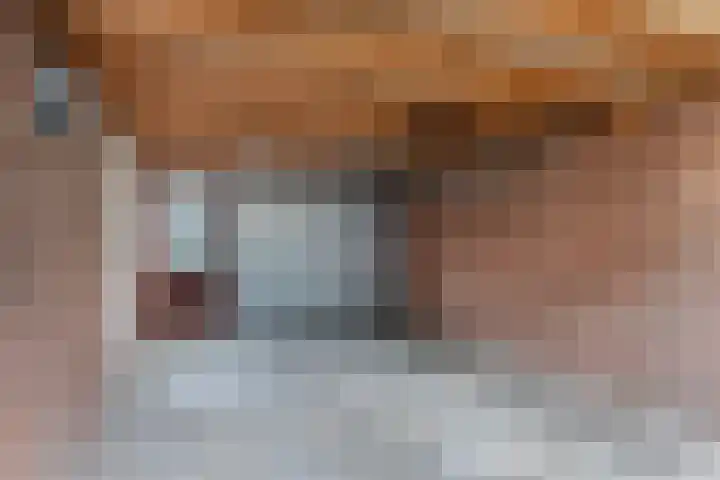 Maasstraat 19 Rozenburg thumbnail 39